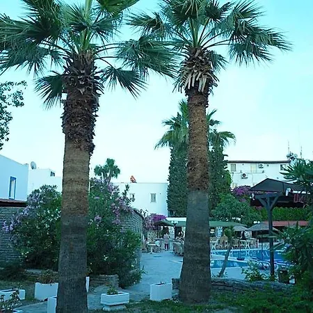 Bodrum Park 2* 검벳