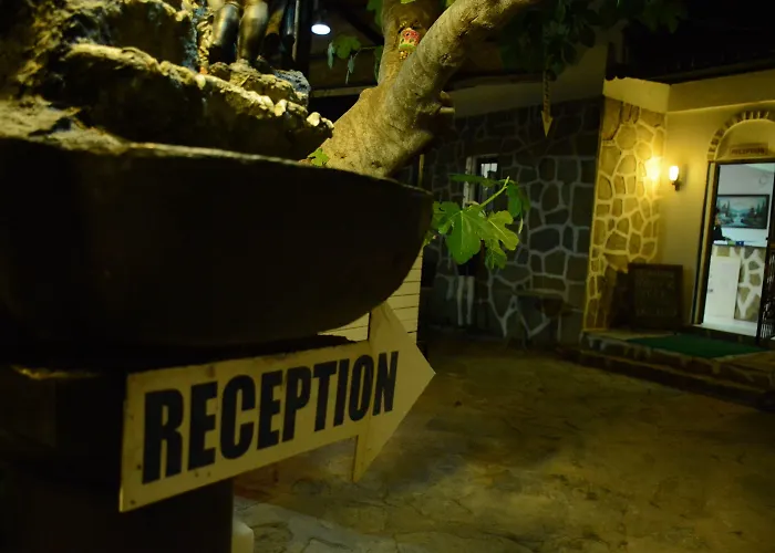 Bodrum Park غومْبيت