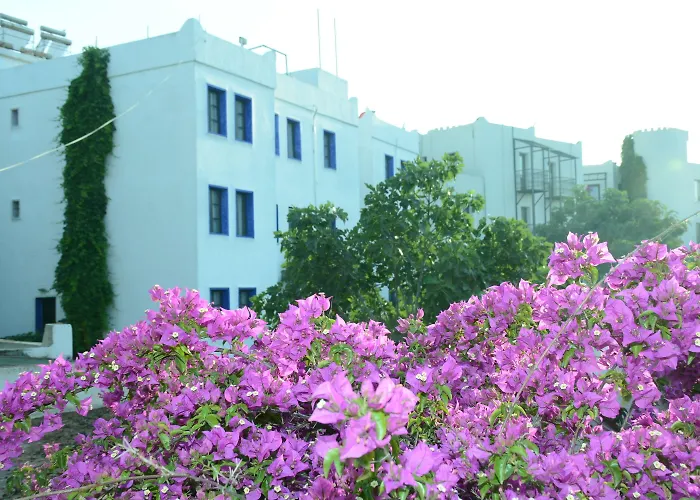 Bodrum Park منتجع 2*
